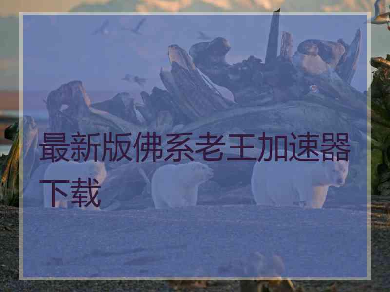 最新版佛系老王加速器下载