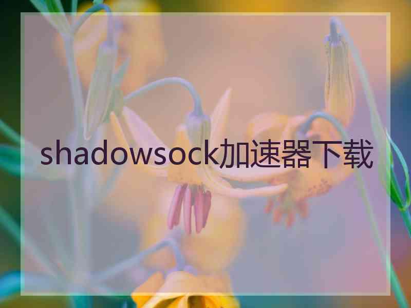 shadowsock加速器下载