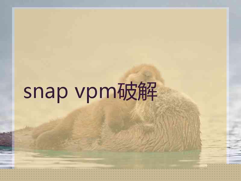 snap vpm破解