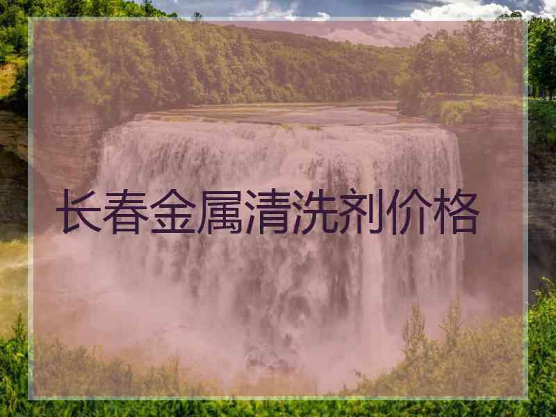 长春金属清洗剂价格