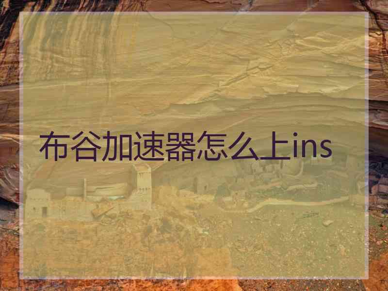 布谷加速器怎么上ins