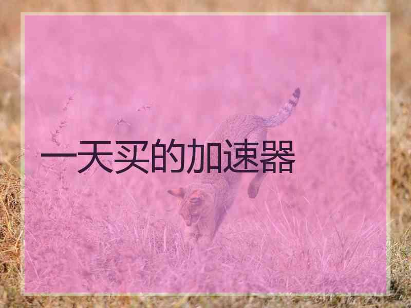 一天买的加速器