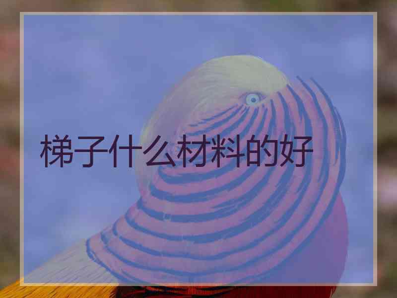 梯子什么材料的好