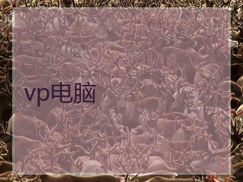 vp电脑