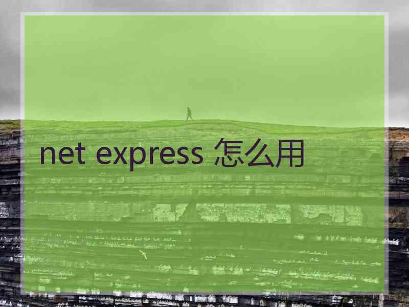 net express 怎么用