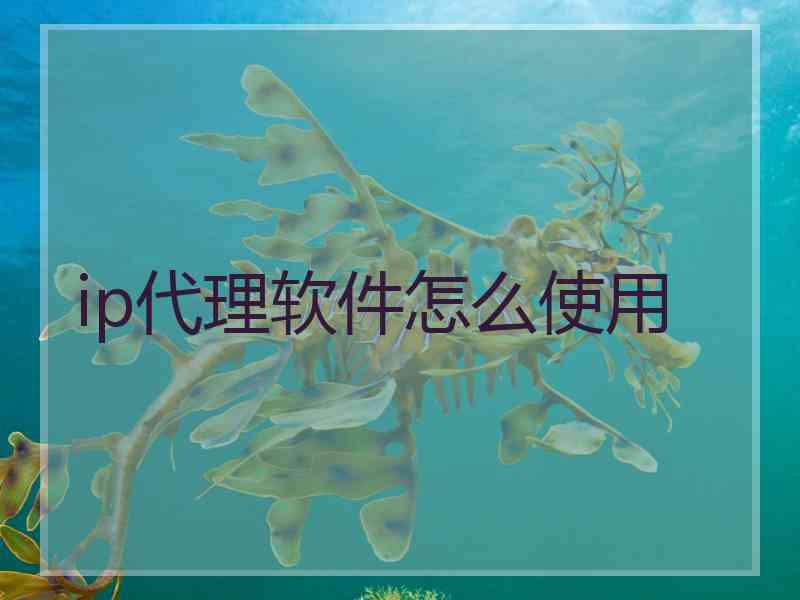 ip代理软件怎么使用