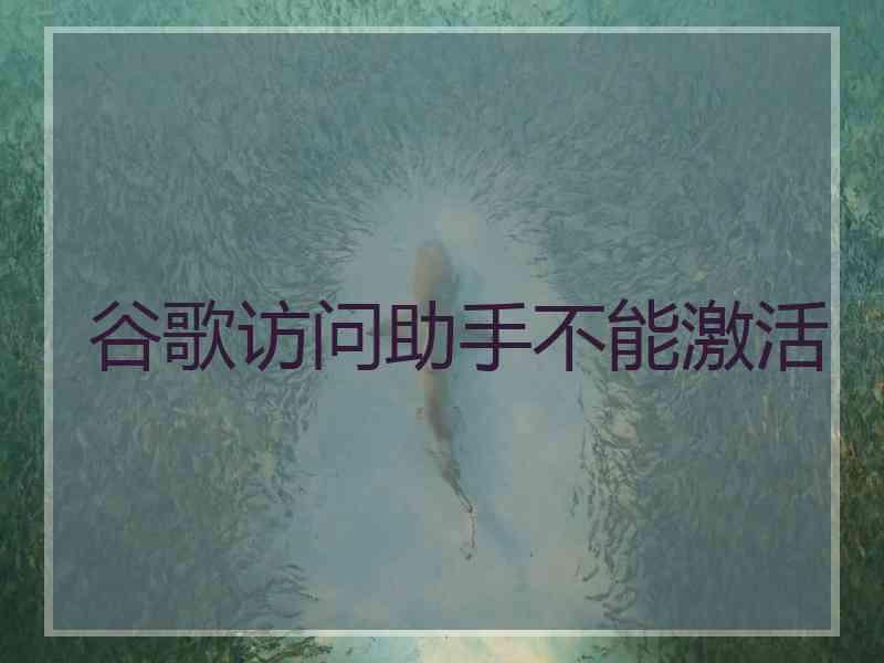 谷歌访问助手不能激活