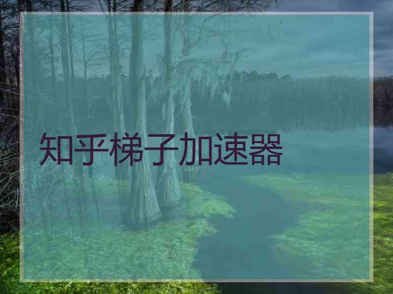 知乎梯子加速器