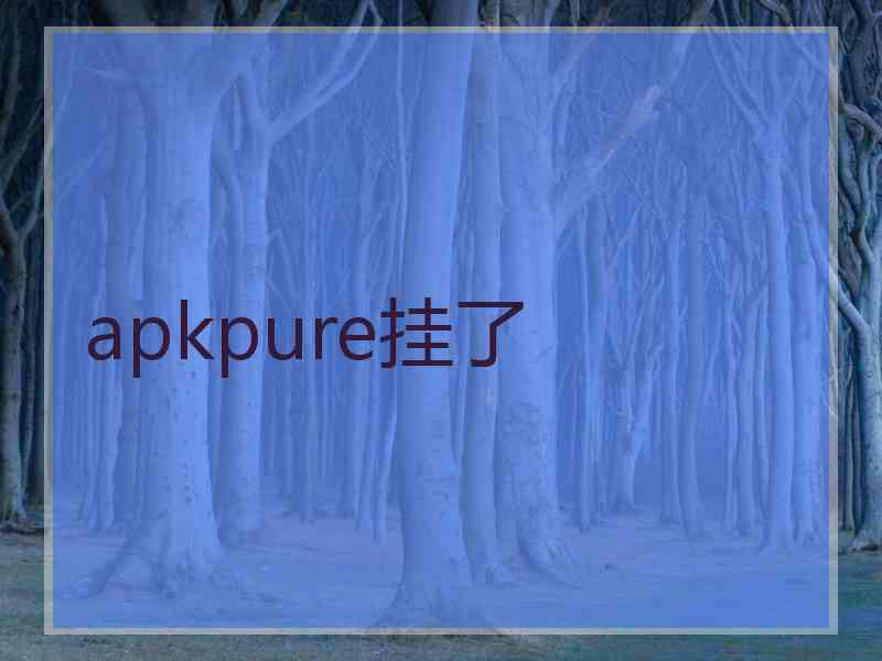 apkpure挂了