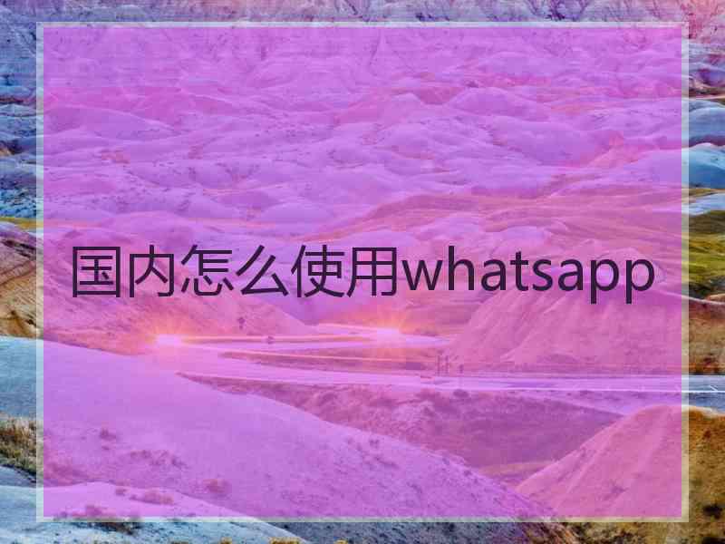 国内怎么使用whatsapp