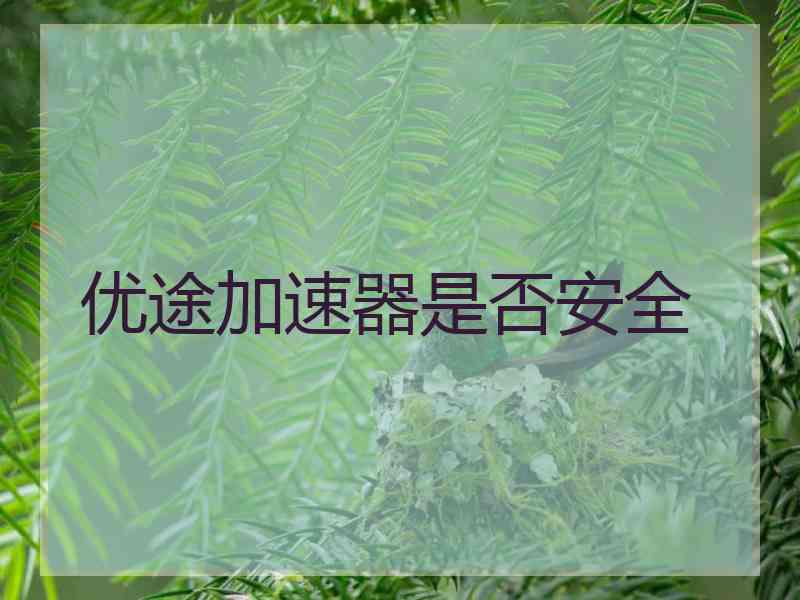 优途加速器是否安全