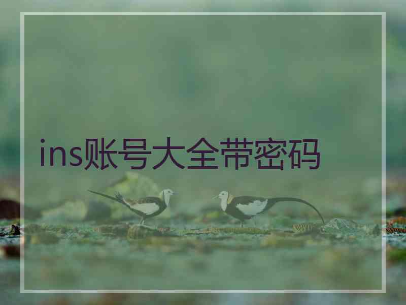 ins账号大全带密码