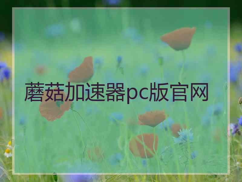 蘑菇加速器pc版官网