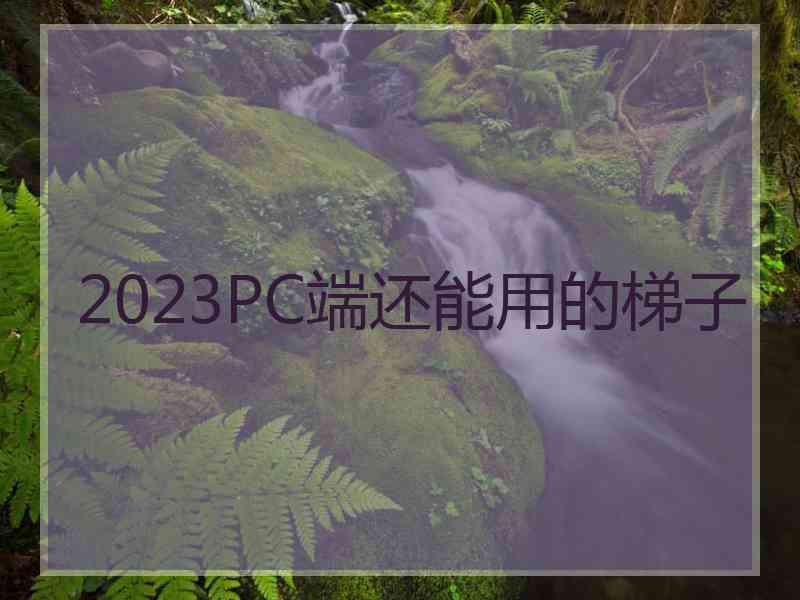 2023PC端还能用的梯子