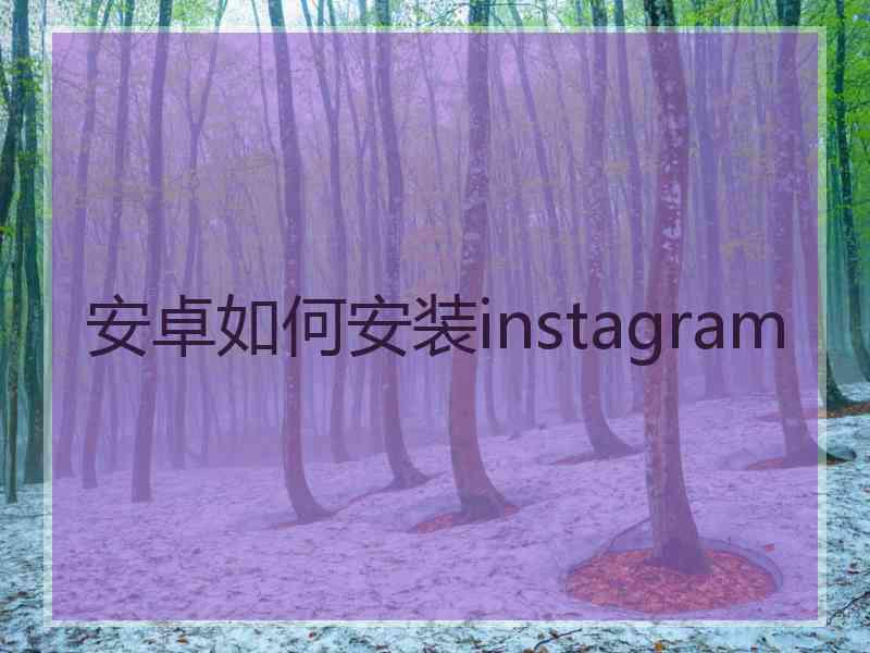 安卓如何安装instagram