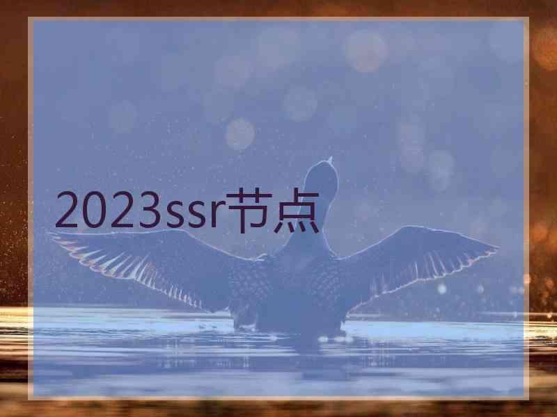 2023ssr节点