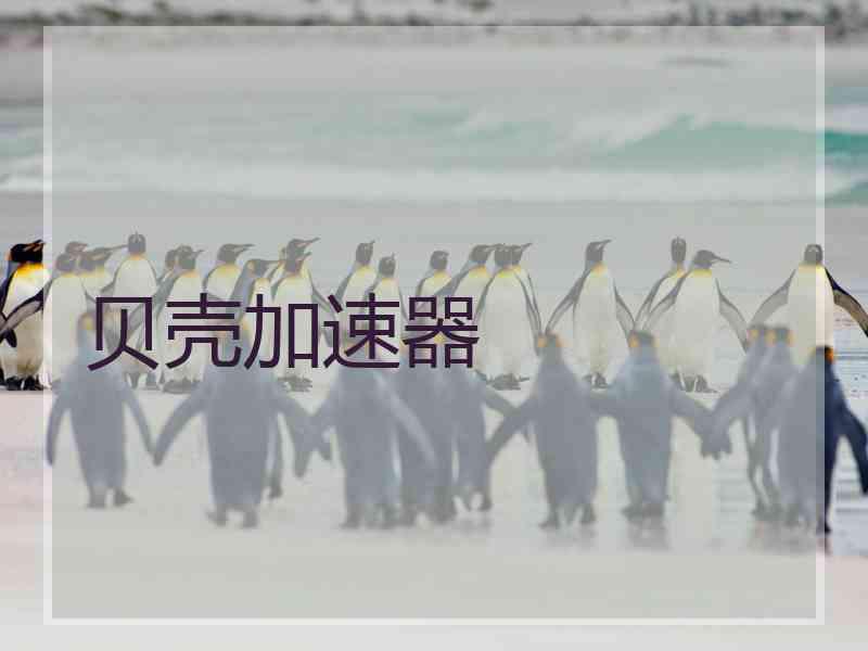 贝壳加速器