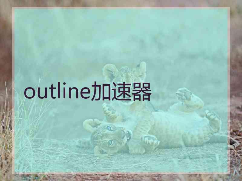 outline加速器