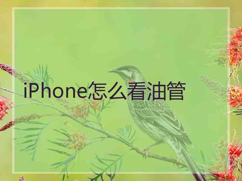 iPhone怎么看油管