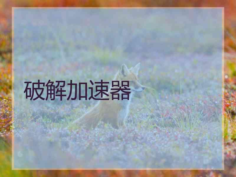 破解加速器