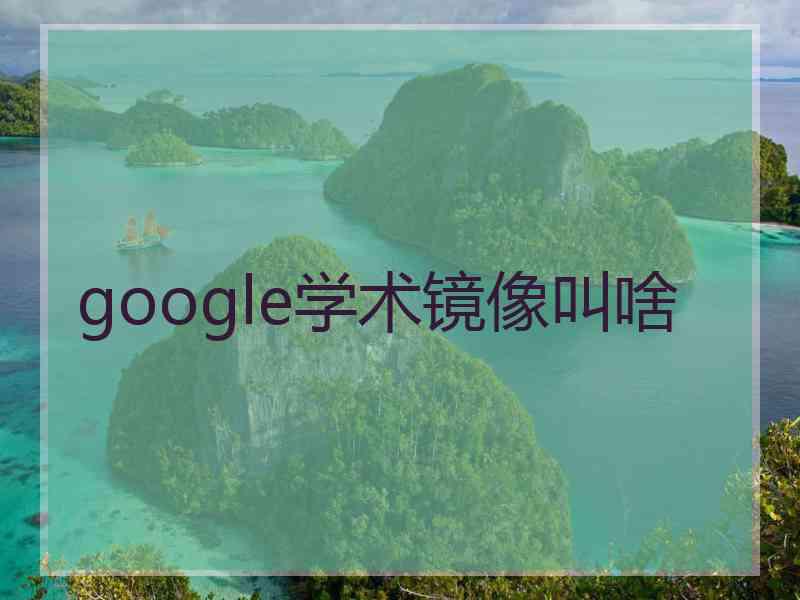 google学术镜像叫啥