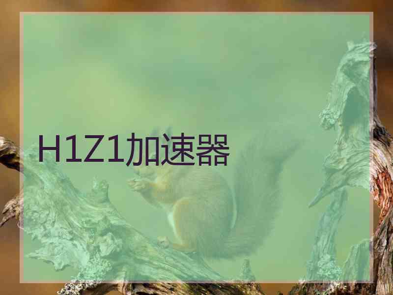H1Z1加速器