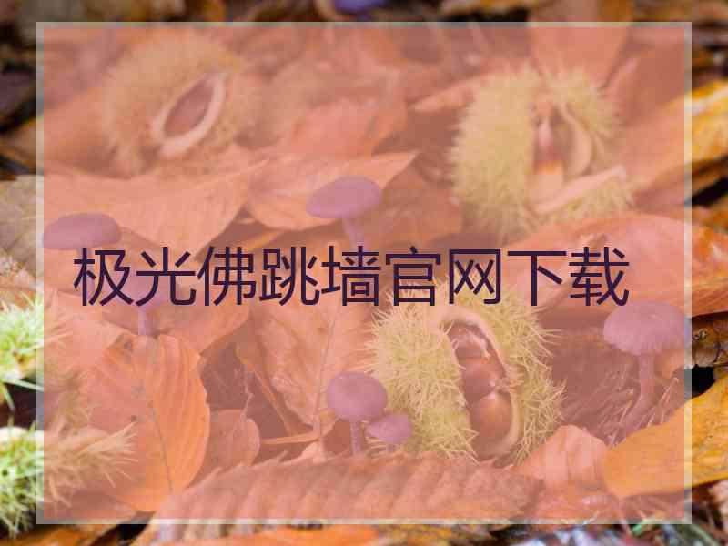 极光佛跳墙官网下载