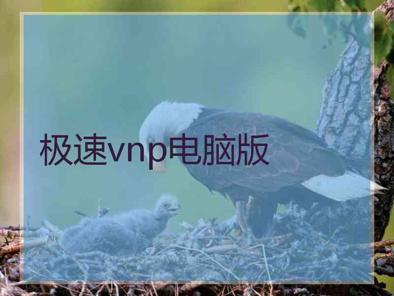 极速vnp电脑版