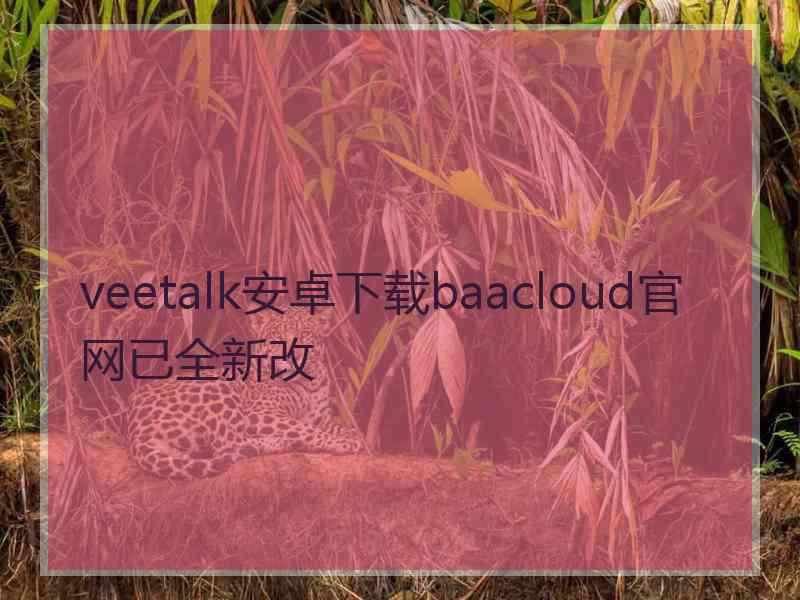 veetalk安卓下载baacloud官网已全新改