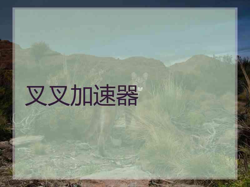 叉叉加速器