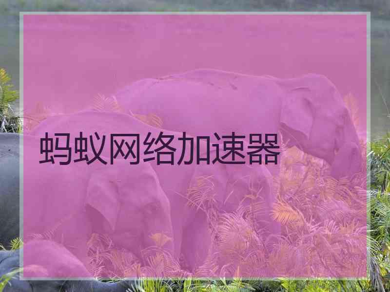 蚂蚁网络加速器