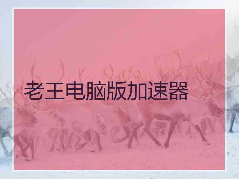 老王电脑版加速器