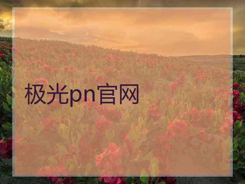 极光pn官网