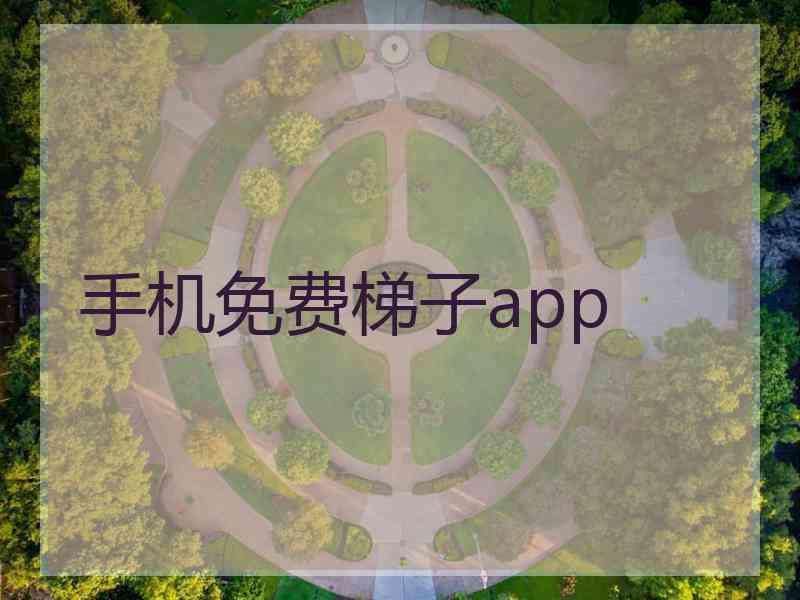 手机免费梯子app