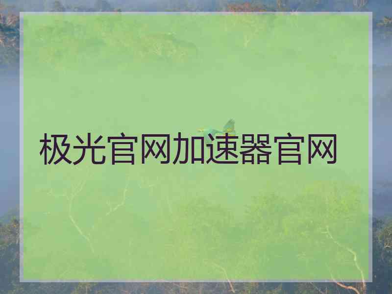 极光官网加速器官网