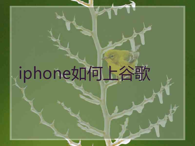 iphone如何上谷歌