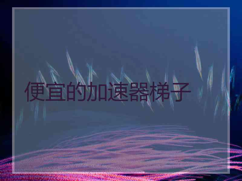 便宜的加速器梯子