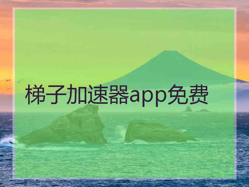 梯子加速器app免费