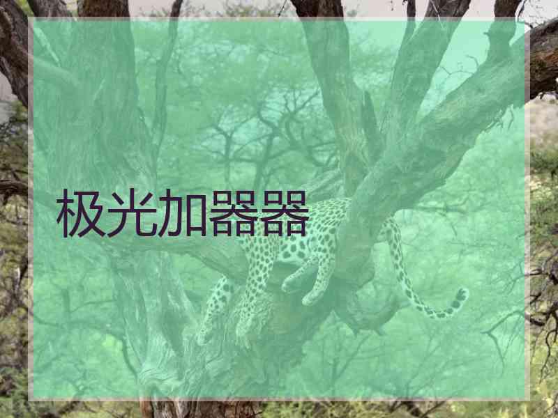 极光加器器