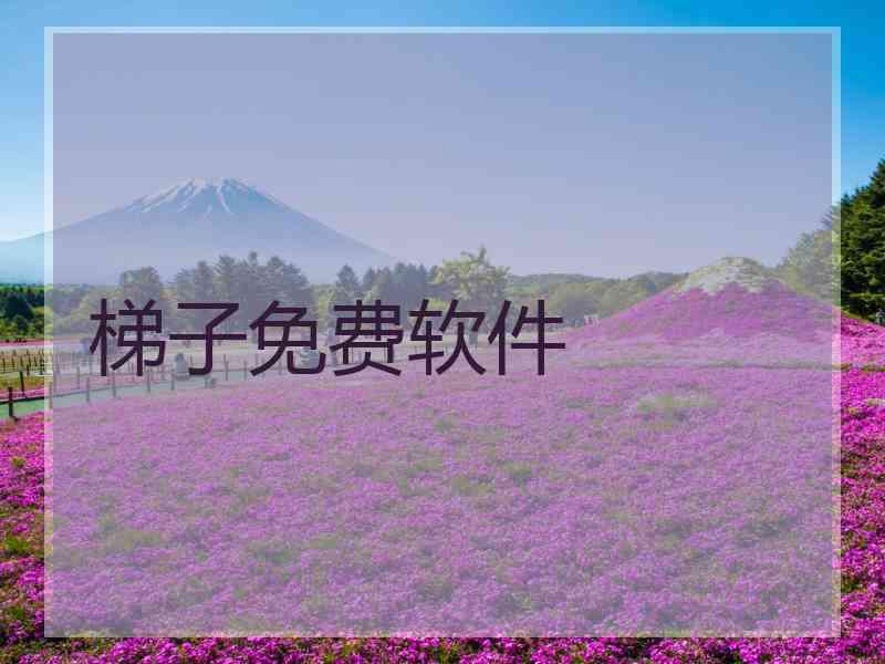 梯子免费软件