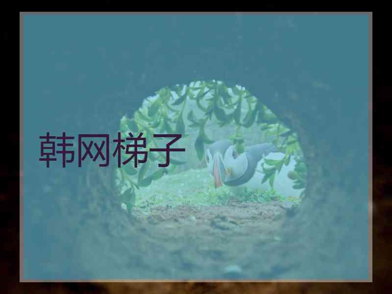 韩网梯子