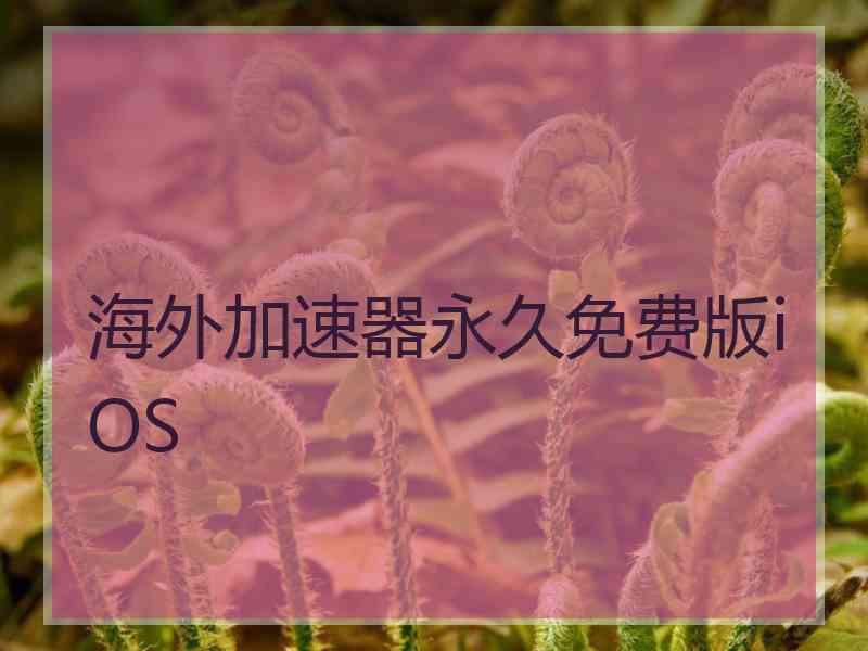 海外加速器永久免费版iOS