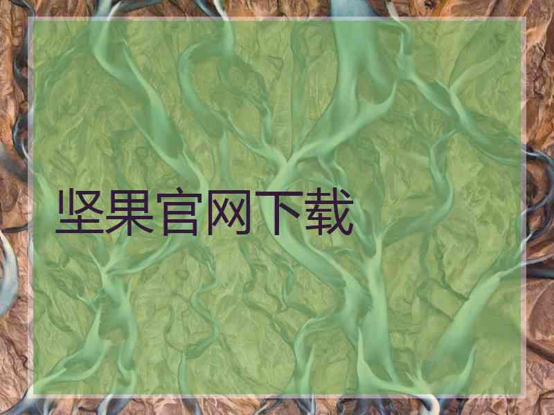 坚果官网下载