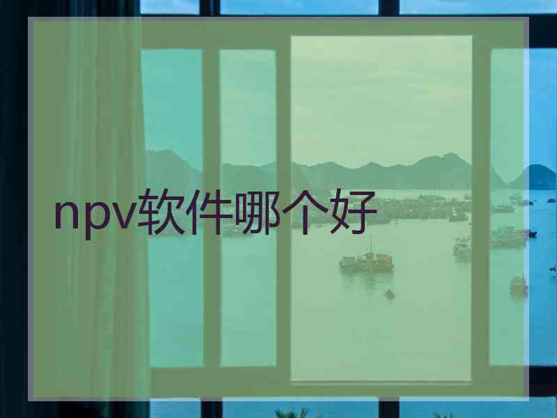 npv软件哪个好