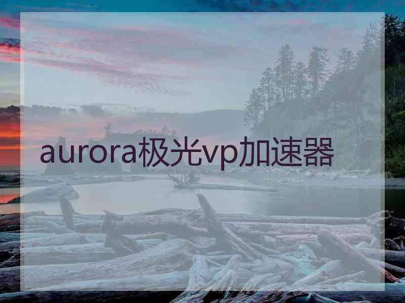 aurora极光vp加速器