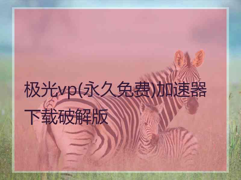 极光vp(永久免费)加速器下载破解版