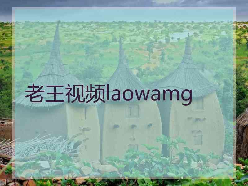 老王视频laowamg