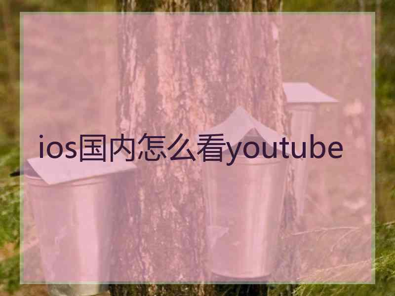 ios国内怎么看youtube