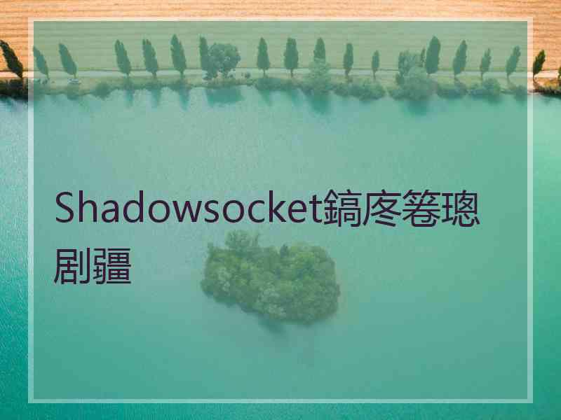 Shadowsocket鎬庝箞璁剧疆