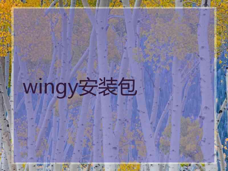 wingy安装包